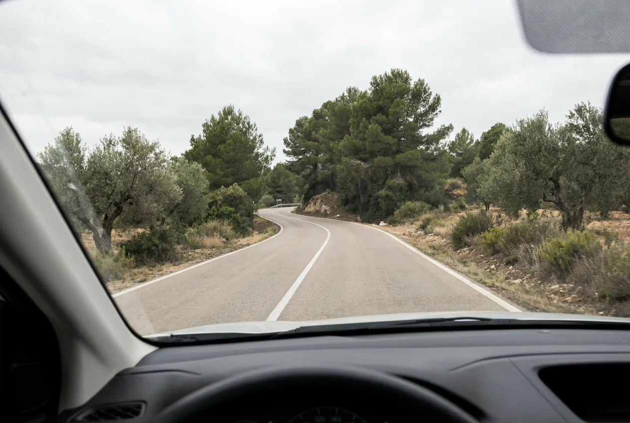Vista desde el interior de un coche: carretera de dos sentidos que se pierde en una curva cerrada, con línea blanca continua en el centro y vegetación alta que impide ver lo que viene