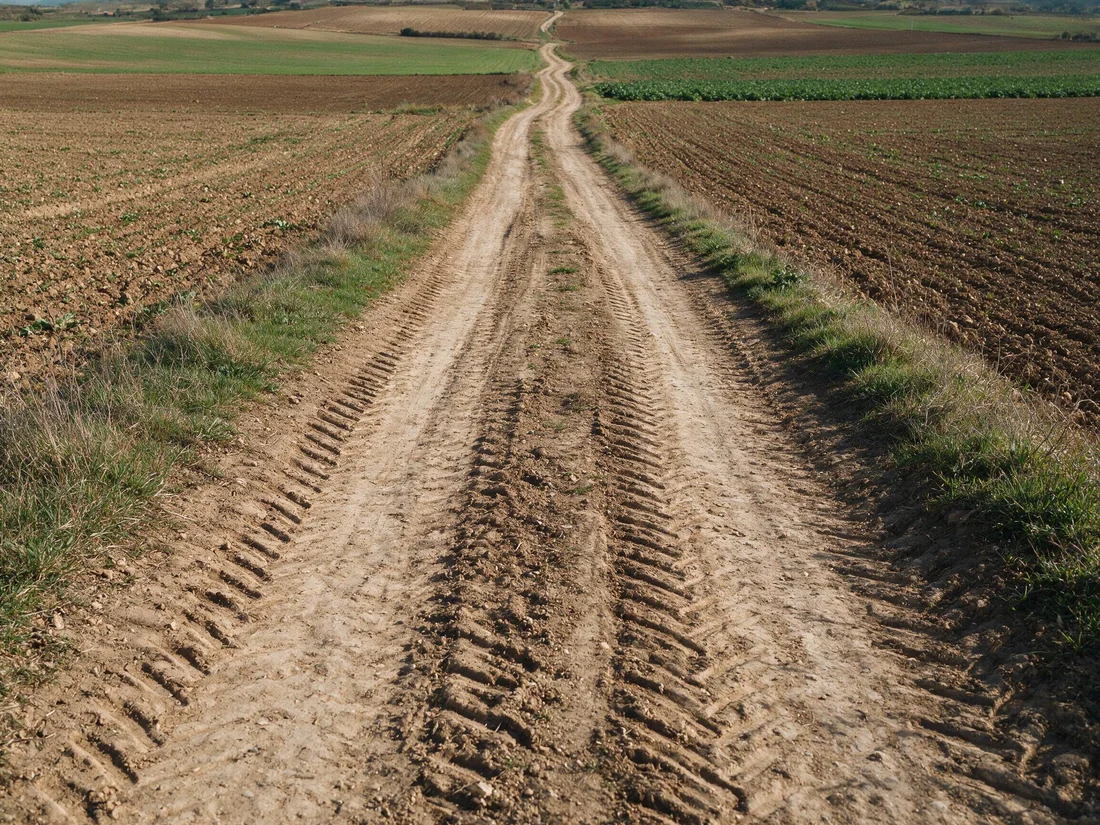 Camino agrícola de tierra entre campos de cultivo, con rodadas de tractor