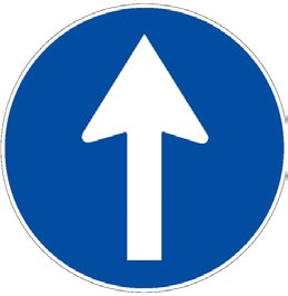 Sentido obligatorio
